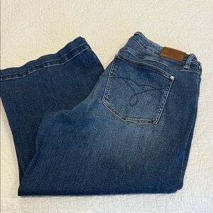 Judy Blue Women’s Cropped Jeans